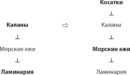 Иллюстрация к книге — Закон "джунглей". В поисках формулы жизни [_37.jpg]