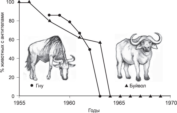 Иллюстрация к книге — Закон "джунглей". В поисках формулы жизни [_40.jpg]