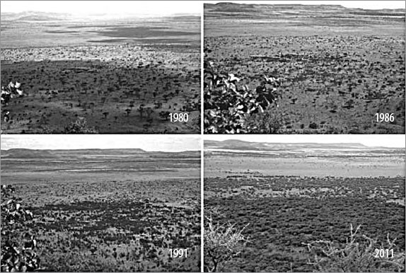 Иллюстрация к книге — Закон "джунглей". В поисках формулы жизни [_43.jpg]