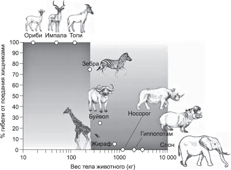 Иллюстрация к книге — Закон "джунглей". В поисках формулы жизни [_45.jpg]