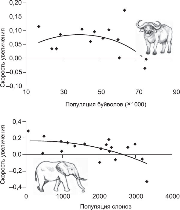 Иллюстрация к книге — Закон "джунглей". В поисках формулы жизни [_46.jpg]