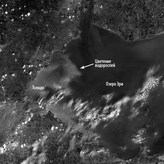 Иллюстрация к книге — Закон "джунглей". В поисках формулы жизни [_49.jpg]