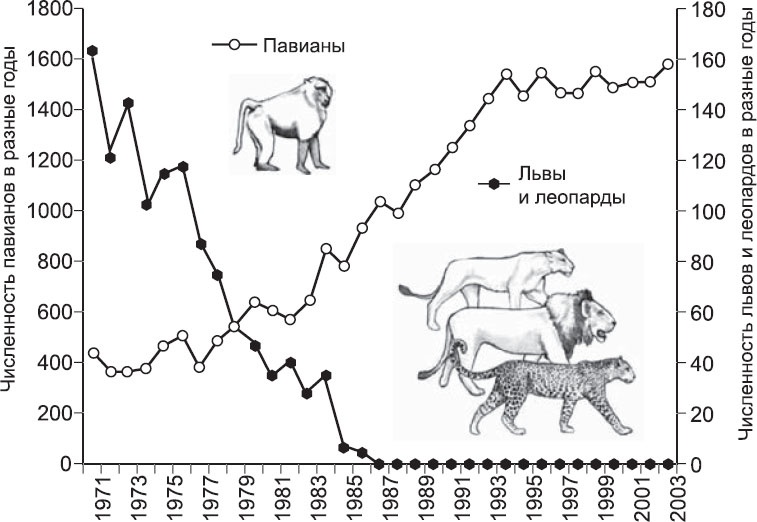 Иллюстрация к книге — Закон "джунглей". В поисках формулы жизни [_51.jpg]