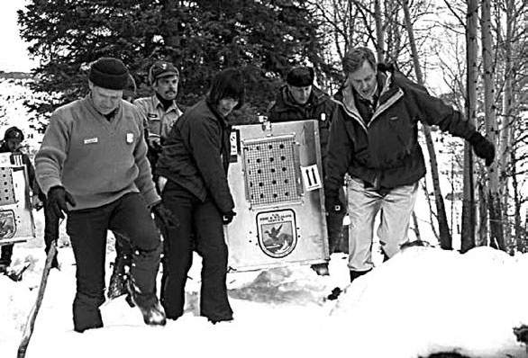 Иллюстрация к книге — Закон "джунглей". В поисках формулы жизни [_55.jpg]