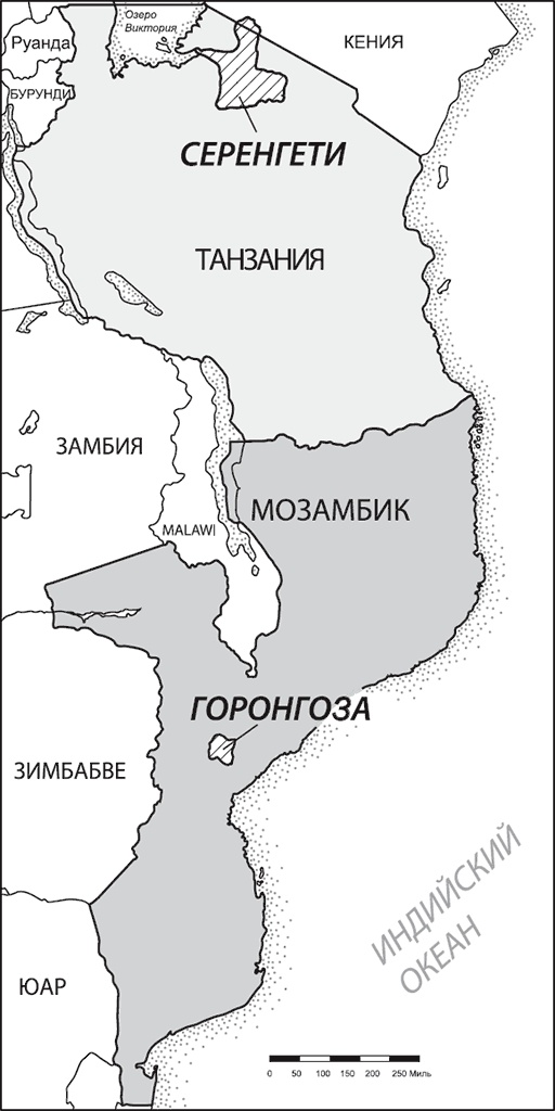 Иллюстрация к книге — Закон "джунглей". В поисках формулы жизни [_58.jpg]