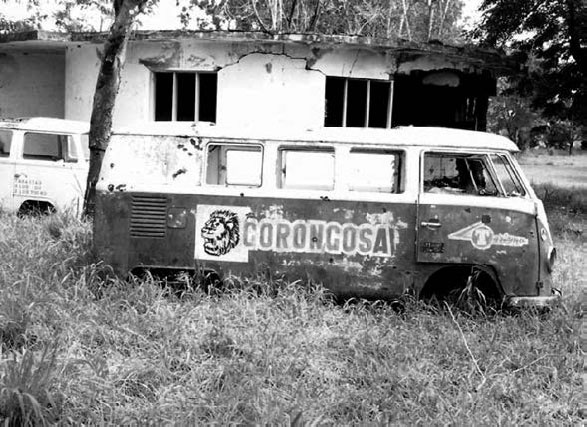 Иллюстрация к книге — Закон "джунглей". В поисках формулы жизни [_59.jpg]