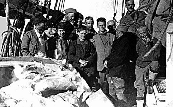 Иллюстрация к книге — Закон "джунглей". В поисках формулы жизни [_7.jpg]