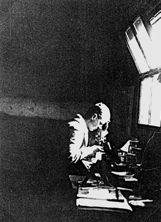 Иллюстрация к книге — Закон "джунглей". В поисках формулы жизни [_8.jpg]