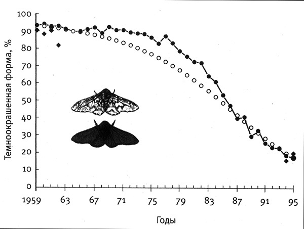 Иллюстрация к книге — Приспособиться и выжить! ДНК как летопись эволюции [i_011.jpg]