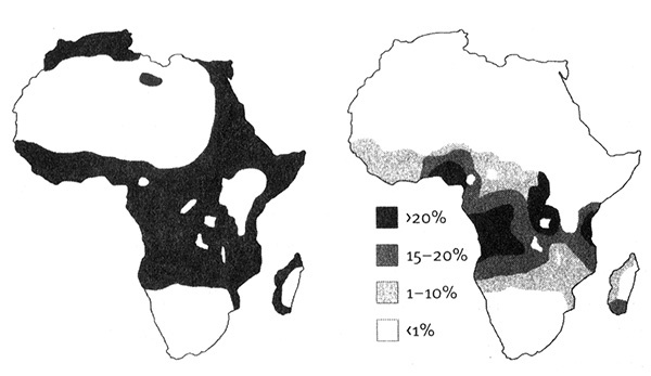 Иллюстрация к книге — Приспособиться и выжить! ДНК как летопись эволюции [i_059.jpg]