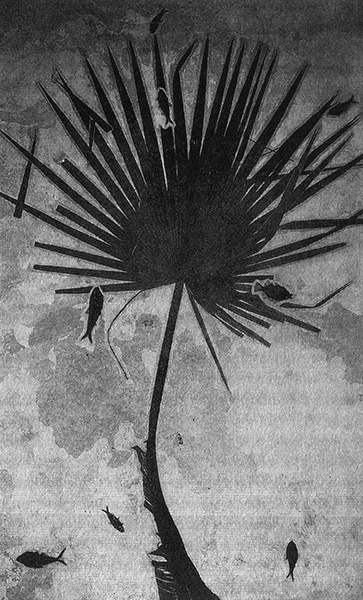 Иллюстрация к книге — Приспособиться и выжить! ДНК как летопись эволюции [i_075.jpg]