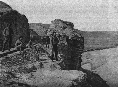 Иллюстрация к книге — Приспособиться и выжить! ДНК как летопись эволюции [i_076.jpg]