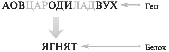 Иллюстрация к книге — Мусорная ДНК. Путешествие в темную материю генома [i_005.jpg]