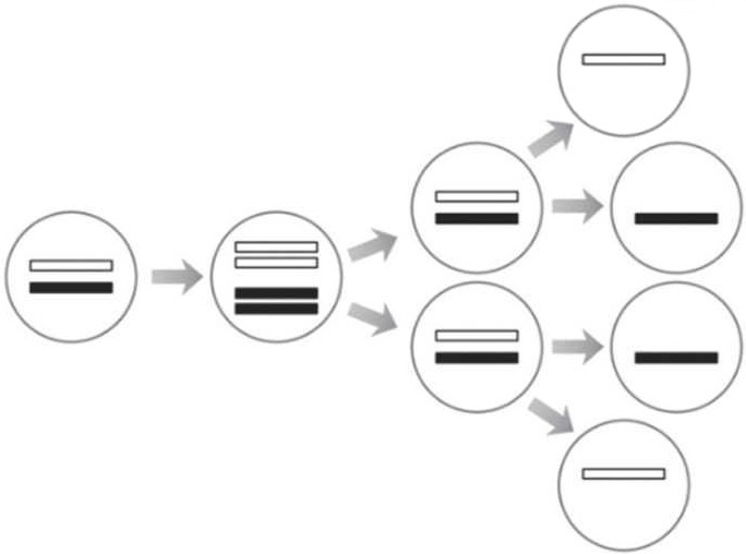Иллюстрация к книге — Мусорная ДНК. Путешествие в темную материю генома [i_016.jpg]