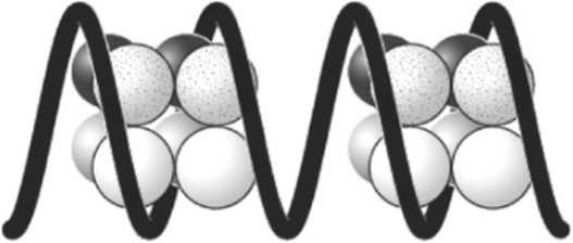 Иллюстрация к книге — Мусорная ДНК. Путешествие в темную материю генома [i_017.jpg]