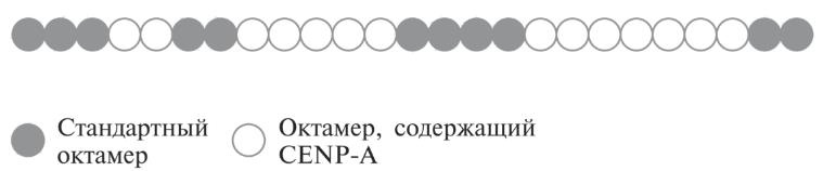 Иллюстрация к книге — Мусорная ДНК. Путешествие в темную материю генома [i_019.jpg]