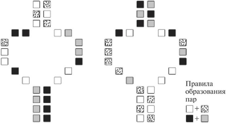 Иллюстрация к книге — Мусорная ДНК. Путешествие в темную материю генома [i_023.jpg]