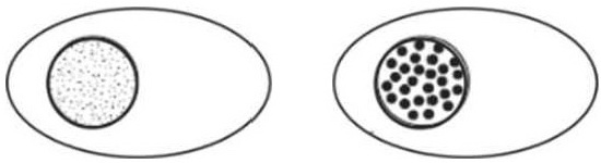 Иллюстрация к книге — Мусорная ДНК. Путешествие в темную материю генома [i_034.jpg]