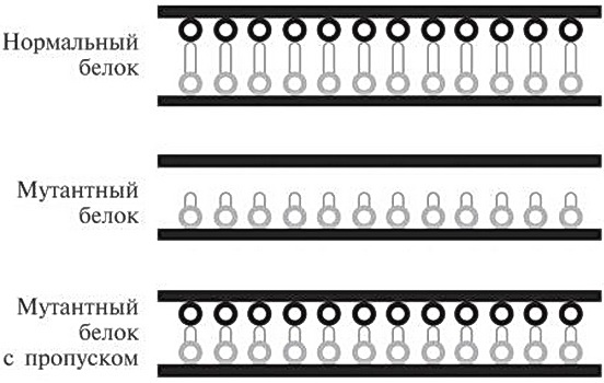 Иллюстрация к книге — Мусорная ДНК. Путешествие в темную материю генома [i_057.jpg]