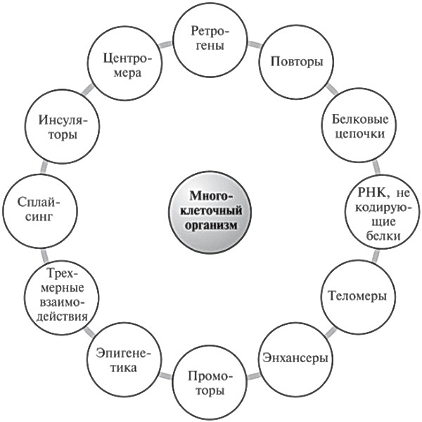 Иллюстрация к книге — Мусорная ДНК. Путешествие в темную материю генома [i_063.jpg]