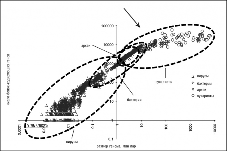 Иллюстрация к книге — Логика случая. О природе и происхождении биологической эволюции [i_009.jpg]