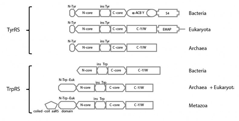 Иллюстрация к книге — Логика случая. О природе и происхождении биологической эволюции [i_013.jpg]