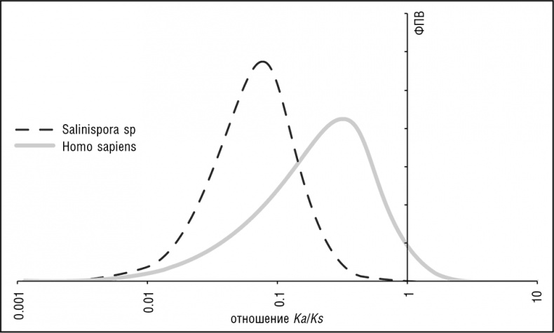 Иллюстрация к книге — Логика случая. О природе и происхождении биологической эволюции [i_016.jpg]