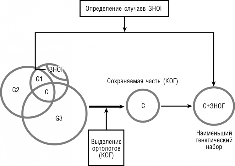 Иллюстрация к книге — Логика случая. О природе и происхождении биологической эволюции [i_018.jpg]