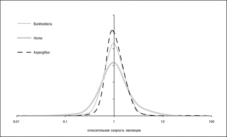 Иллюстрация к книге — Логика случая. О природе и происхождении биологической эволюции [i_028.jpg]