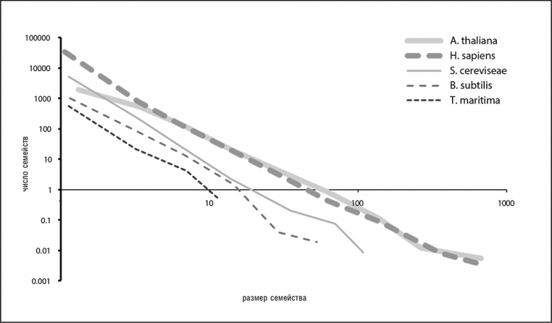 Иллюстрация к книге — Логика случая. О природе и происхождении биологической эволюции [i_033.jpg]