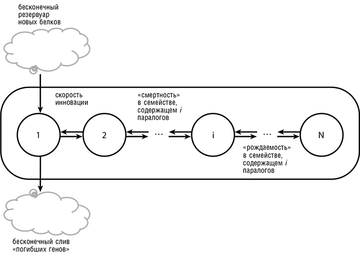 Иллюстрация к книге — Логика случая. О природе и происхождении биологической эволюции [i_034.jpg]
