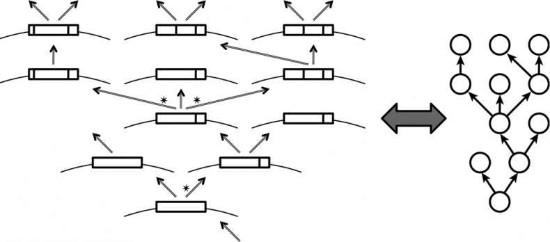 Иллюстрация к книге — Логика случая. О природе и происхождении биологической эволюции [i_046.jpg]