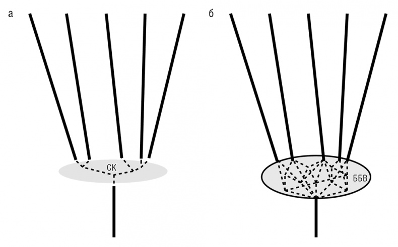 Иллюстрация к книге — Логика случая. О природе и происхождении биологической эволюции [i_050.jpg]