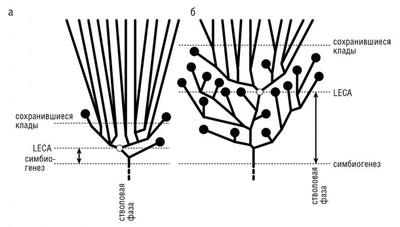 Иллюстрация к книге — Логика случая. О природе и происхождении биологической эволюции [i_058.jpg]