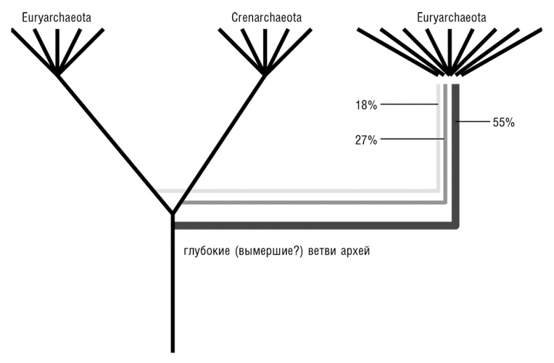 Иллюстрация к книге — Логика случая. О природе и происхождении биологической эволюции [i_060.jpg]