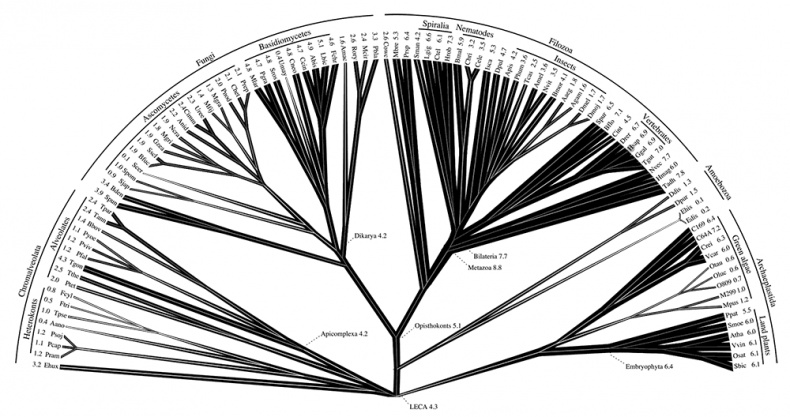 Иллюстрация к книге — Логика случая. О природе и происхождении биологической эволюции [i_065.jpg]