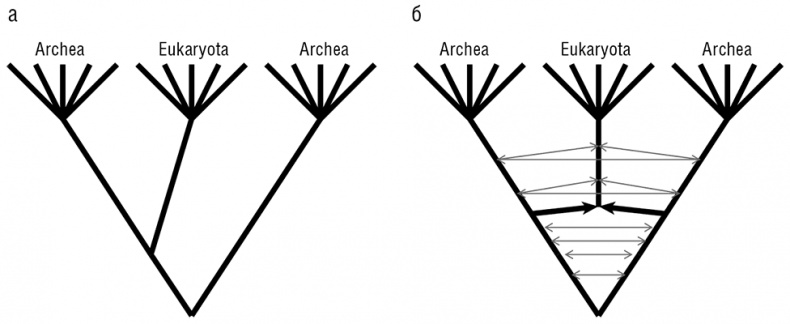 Иллюстрация к книге — Логика случая. О природе и происхождении биологической эволюции [i_066.jpg]