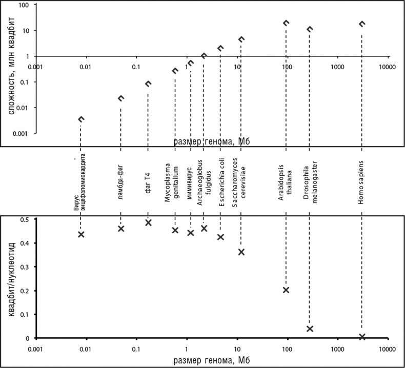 Иллюстрация к книге — Логика случая. О природе и происхождении биологической эволюции [i_073.jpg]