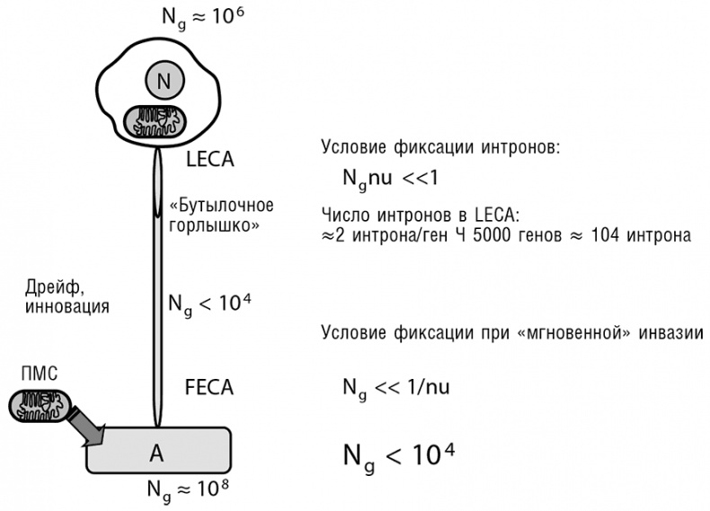 Иллюстрация к книге — Логика случая. О природе и происхождении биологической эволюции [i_075.jpg]