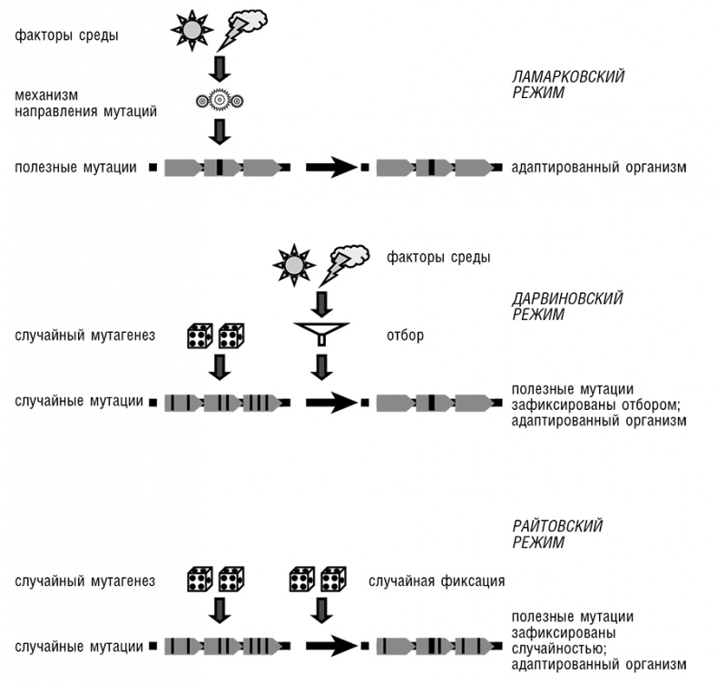 Иллюстрация к книге — Логика случая. О природе и происхождении биологической эволюции [i_078.jpg]