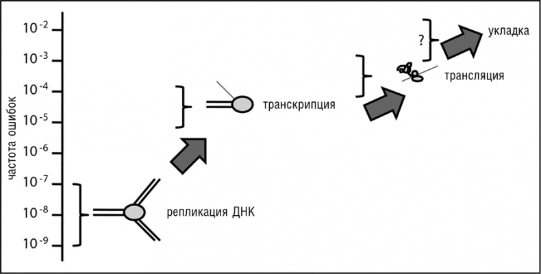 Иллюстрация к книге — Логика случая. О природе и происхождении биологической эволюции [i_082.jpg]
