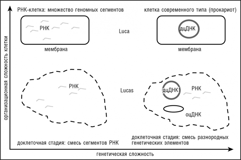 Иллюстрация к книге — Логика случая. О природе и происхождении биологической эволюции [i_091.jpg]