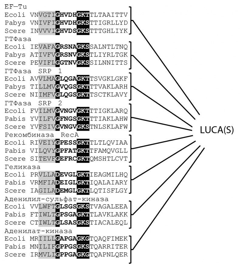 Иллюстрация к книге — Логика случая. О природе и происхождении биологической эволюции [i_097.jpg]