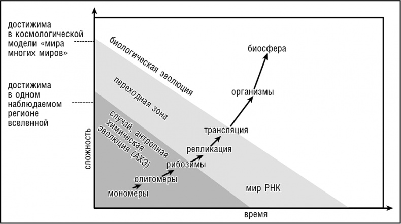 Иллюстрация к книге — Логика случая. О природе и происхождении биологической эволюции [i_100.jpg]