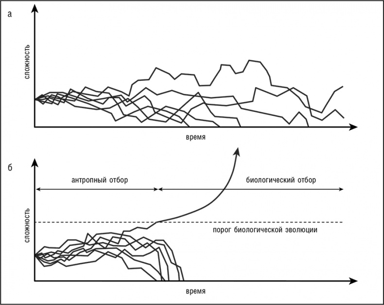Иллюстрация к книге — Логика случая. О природе и происхождении биологической эволюции [i_101.jpg]