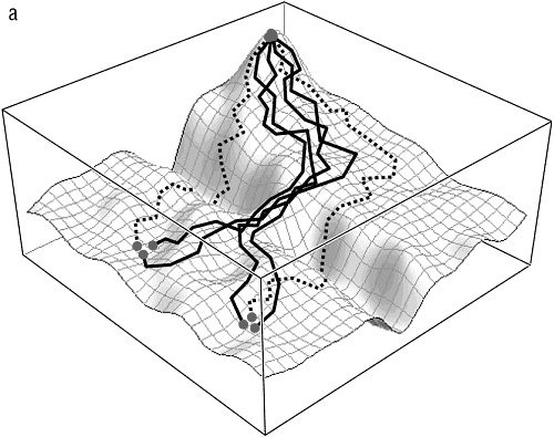Иллюстрация к книге — Логика случая. О природе и происхождении биологической эволюции [i_103.jpg]