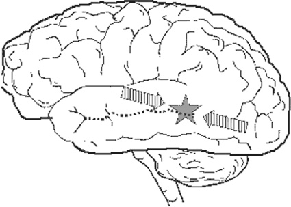 Иллюстрация к книге — Почему девочки не хуже мальчиков разбираются в математике [i_024.jpg]