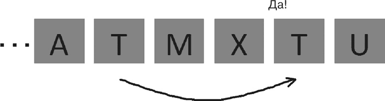 Иллюстрация к книге — Почему девочки не хуже мальчиков разбираются в математике [i_025.jpg]