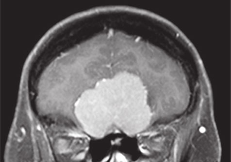 Иллюстрация к книге — Почему девочки не хуже мальчиков разбираются в математике [i_035.jpg]