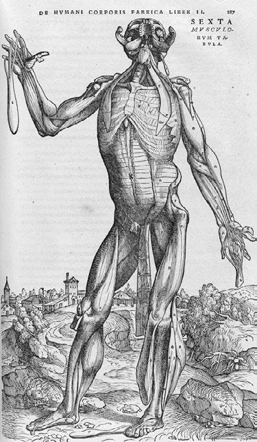 Иллюстрация к книге — Дуэль нейрохирургов. Как открывали тайны мозга, и почему смерть одного короля смогла перевернуть науку [i_006.jpg]